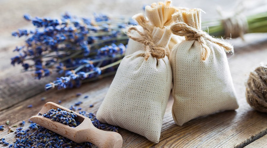 Les Agnels : pour un séjour parfumé et nature en Provence